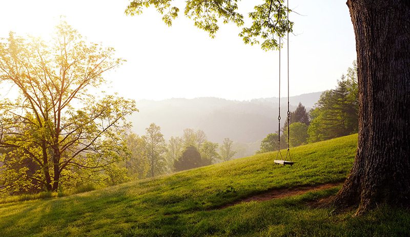 Swing set