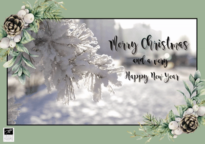 Snow Branch Christmas Card